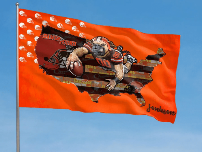 Cleveland Browns NFL Fly Flag Outdoor Flag Trend 2023 Fl209