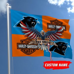 Carolina Panthers NFL Harley Davidson Fly Flag Outdoor Flag FI449