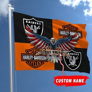 Las Vegas Raiders NFL Harley Davidson Fly Flag Outdoor Flag FI473